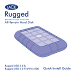 LaCie Rugged Triple 500GB