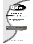 Gefen EXT-3GSDI-2-HDMI1.3S video converter
