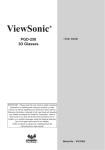 Viewsonic PGD-250
