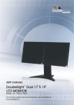 DoubleSight DS-1900S