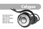 Wentronic Bluetooth Headset stereo (Calypso)