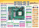 Biostar GF7025-M2 TE motherboard