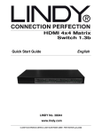 Lindy 38044 video switch