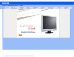 Philips 170A8FB 17" SXGA LCD monitor