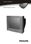 Philips 21PT2110 21" TV