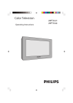 Philips 29PT5342 29" real flat TV