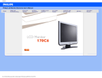 Philips 170C6FS 17" SXGA LCD monitor