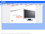 Philips 190CW7CB 19.1" wide WXGA+ LCD widescreen monitor