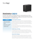DiskStation DX213