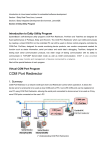 Eddy Technical Article3- Program