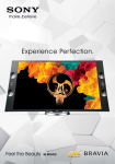 Experience Perfection.