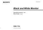 Black and White Monitor