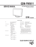 GDM-FW9011