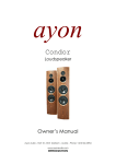 Condor - Ayon Audio