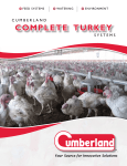 COMPLETE TURKEY - wss.yellowpages.ca