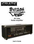 BV120H All Tube Guitar Amplifier