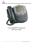 Avaya 4620SW IP Telephone End User Guide