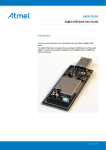 ZigBit USB Stick User Guide (USER GUIDE)