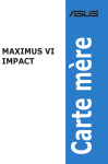 MAXIMUS VI IMPACT