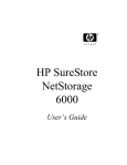 HP SureStore NetStorage 6000 73 GB Hard Drive Array