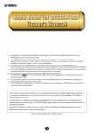 Yamaha MagicStomp Musical Instrument User Manual