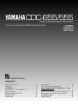 Star Motorcycles YZFR6X(C) Automobile User Manual