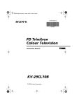 Sony KV-29CL11B Flat Panel Television User Manual