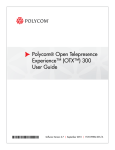 Polycom 300 Telephone User Manual