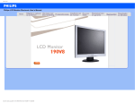 Philips 190V8 Computer Monitor User Manual