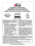 FMI FVF18P Gas Heater User Manual