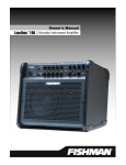 Fishman Loudbox 100 Musical Instrument User Manual