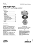 Fisher D500243X012 Automobile Parts User Manual