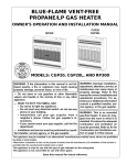 Desa CGP20 Gas Heater User Manual