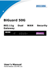Billion Electric Company BiGuard 50G Network Card User Manual