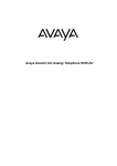 Avaya 700217243 Telephone User Manual