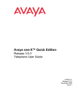 Avaya 3.0.0 Telephone User Manual