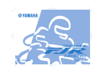 Yamaha FJR13AEV(C) Owner`s manual