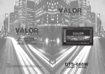 Valor DTS-660W User manual