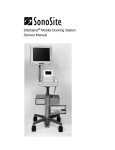 Safe Sound Audio P501 Service manual
