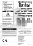 Radiant BH30DL Service manual