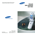 Samsung SGH-V200C User`s guide
