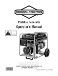 Briggs & Stratton 206883GS Specifications