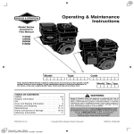 Briggs & Stratton 210000 Owner`s manual
