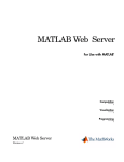 MATLAB APPLICATION DEPLOYMENT - WEB EXAMPLE GUIDE Installation guide
