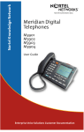 Meridian M3900 series User guide