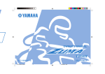 Yamaha 2008 YW50X Owner`s manual