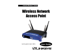 Atmel Wireless LAN Access Point User guide
