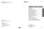 Silex technology SX-WSG1 Specifications