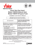 Valor DV-190 Owner`s manual