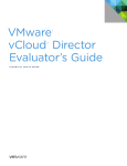 VMware VMWARE CLOUD DIRECTOR 1.0 - TECHNICAL NOTE User`s guide